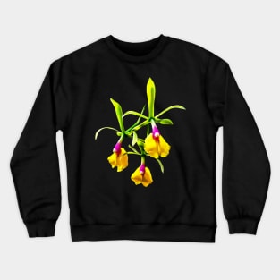 Orchid - Epicattleya Rene Marques Flame Thrower Crewneck Sweatshirt